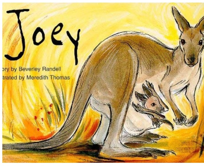 Book cover of Joey by Beverley Randell