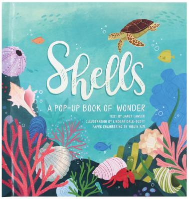 Book cover of Shells: A Pop-Up Book Of Wonder by Janet Lawler, Yoojin Kim