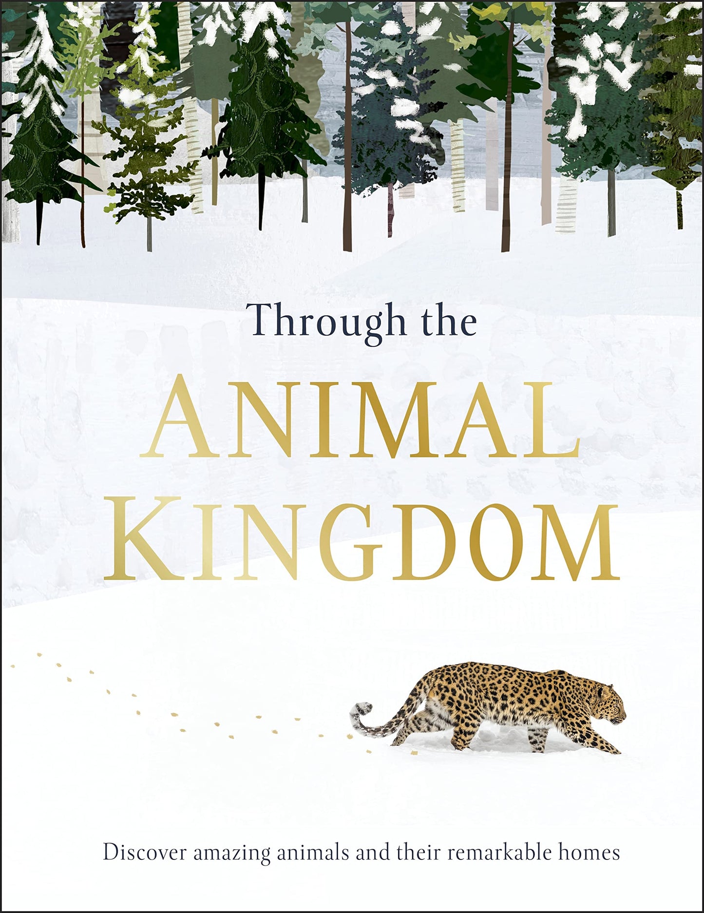 Book cover of Through The Animal Kingdom: Discover Amazing Animals And Their Remarkable Homes by Derek Harvey, Charlotte Pepper (Illus.)