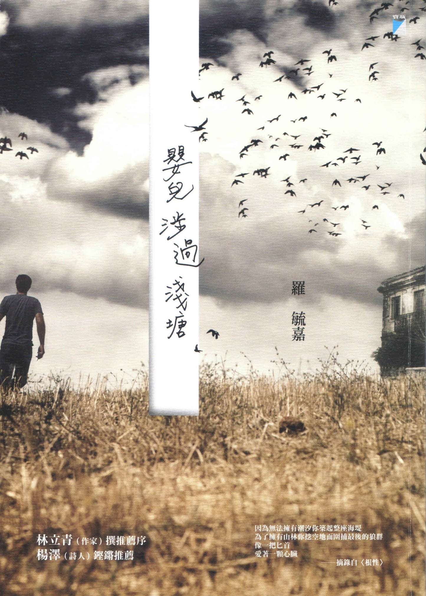 Book cover of 嬰兒涉過淺塘 by 羅毓嘉