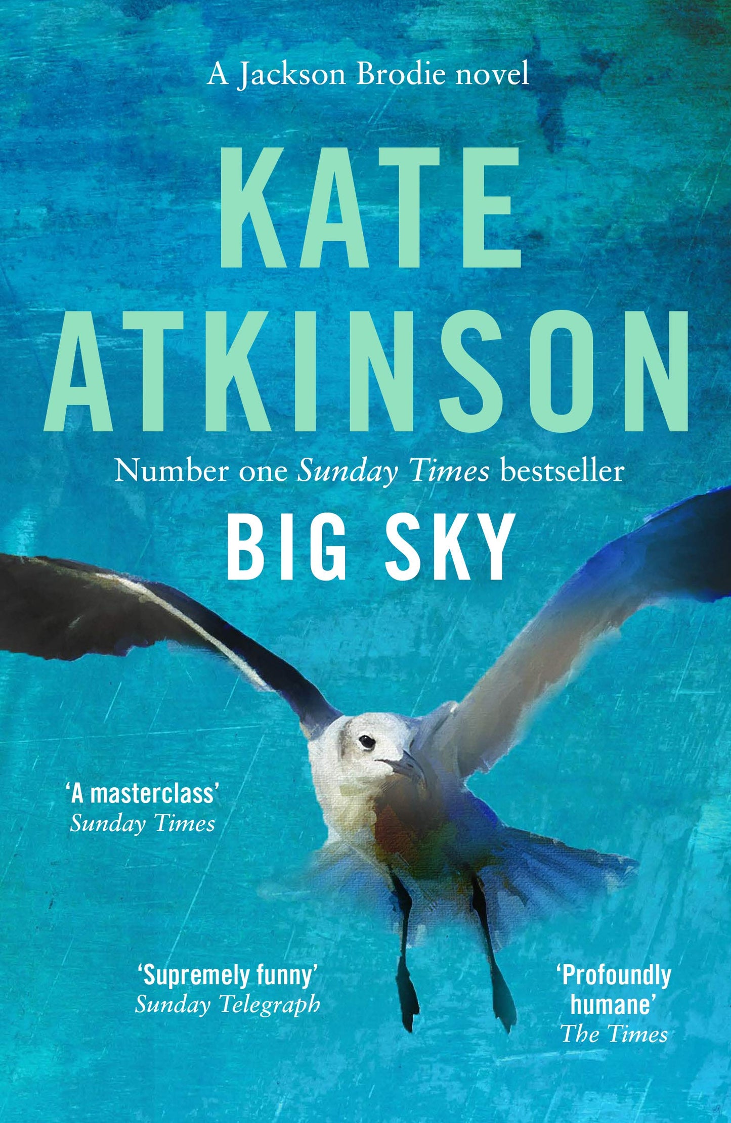 Book cover of Big Sky by Kate Atkinson
