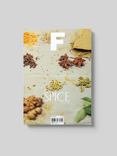 Book cover of Magazine F (Issue # 28 Spice)