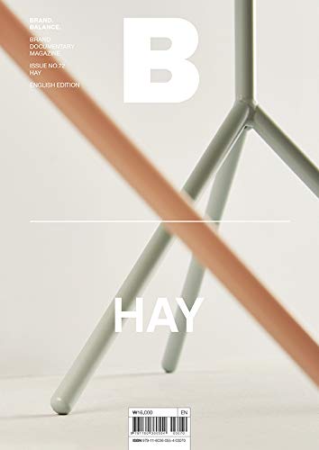 Book cover of Magazine B - Hay by Joh