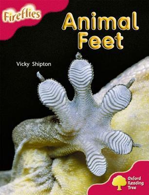 Book cover of Animal Feet by Vicky Shipton