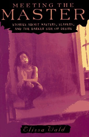 Book cover of Meeting The Master by Elissa Wald