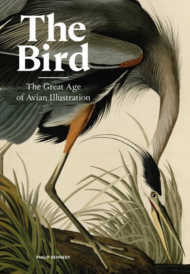 Book cover of The Bird: The Great Age of Avian Illustration by Philip Kennedy