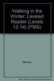 Book cover of Walking In The Winter by Beverley Randell
