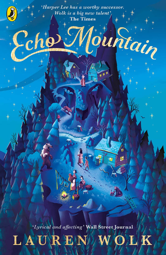 Book cover of Echo Mountain by Lauren Wolk