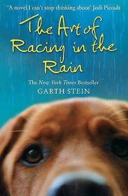 Book cover of The Art of Racing in the Rain by Dave Manak