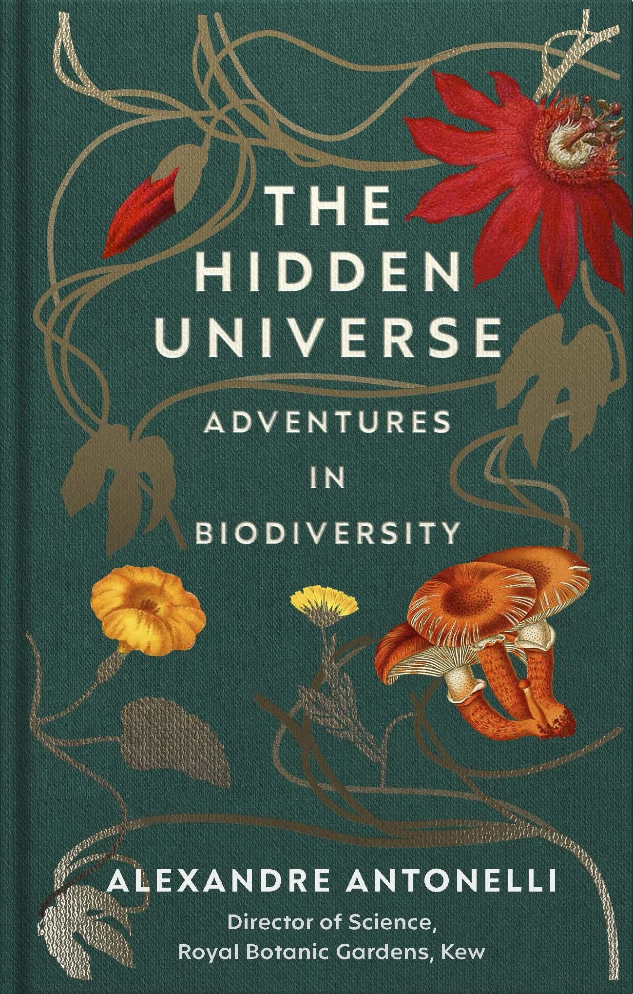 Book cover of The Hidden Universe: Adventures In Biodiversity by Alexandre Antonelli