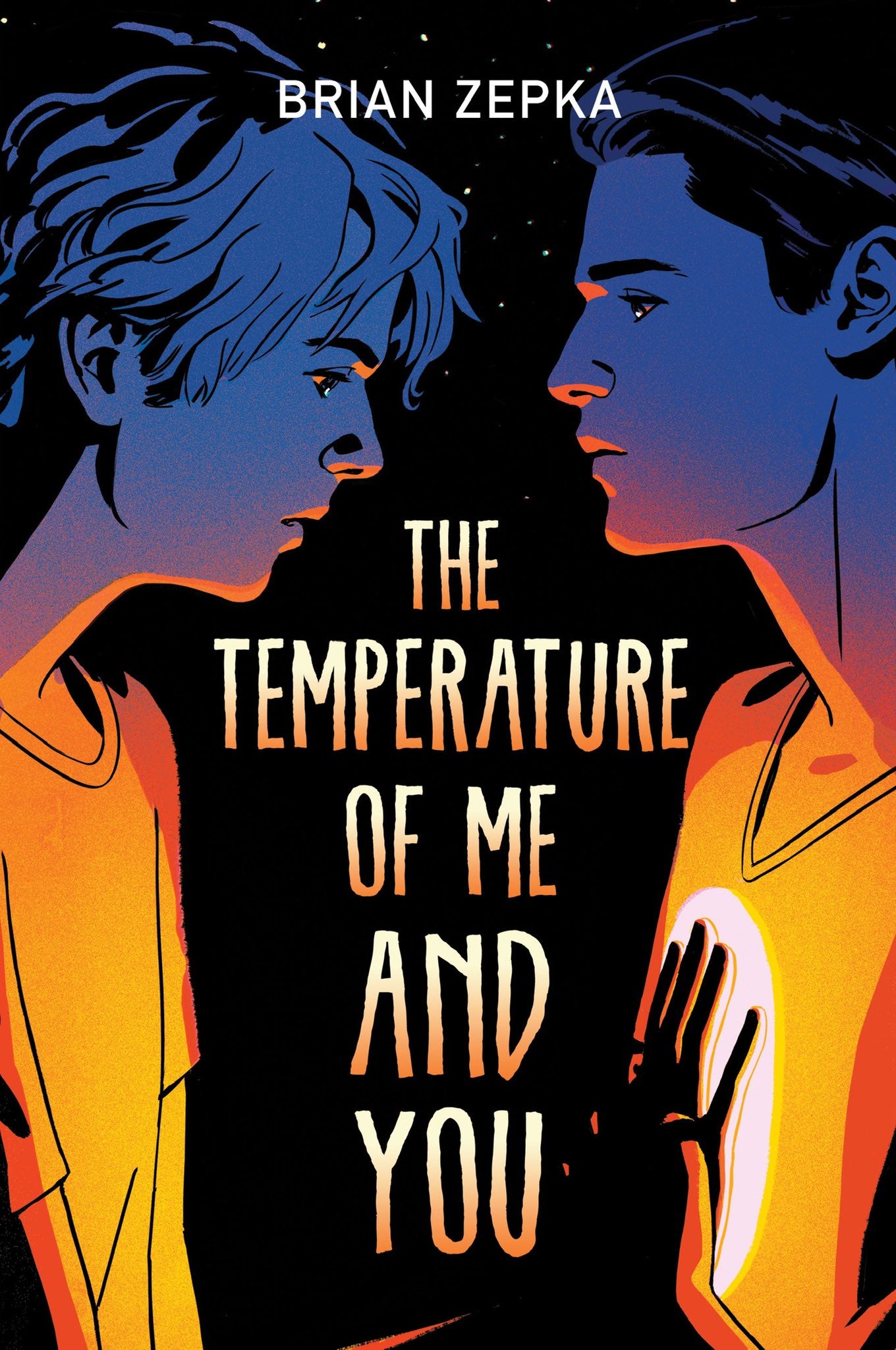 Book cover of The Temperature Of Me And You by Brian Zepka
