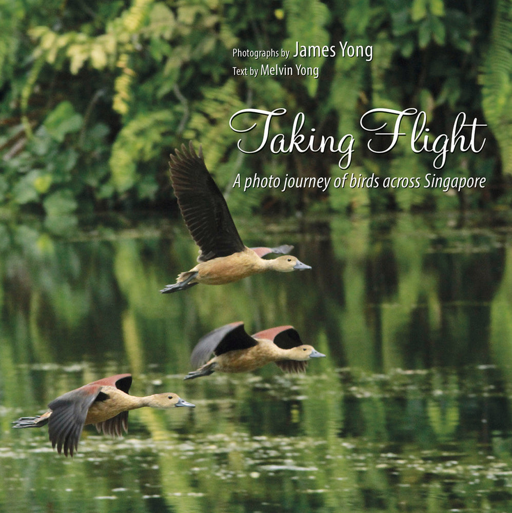 Book cover of Taking Flight: A Photo Journey of Birds Across Singapore by James Yong
