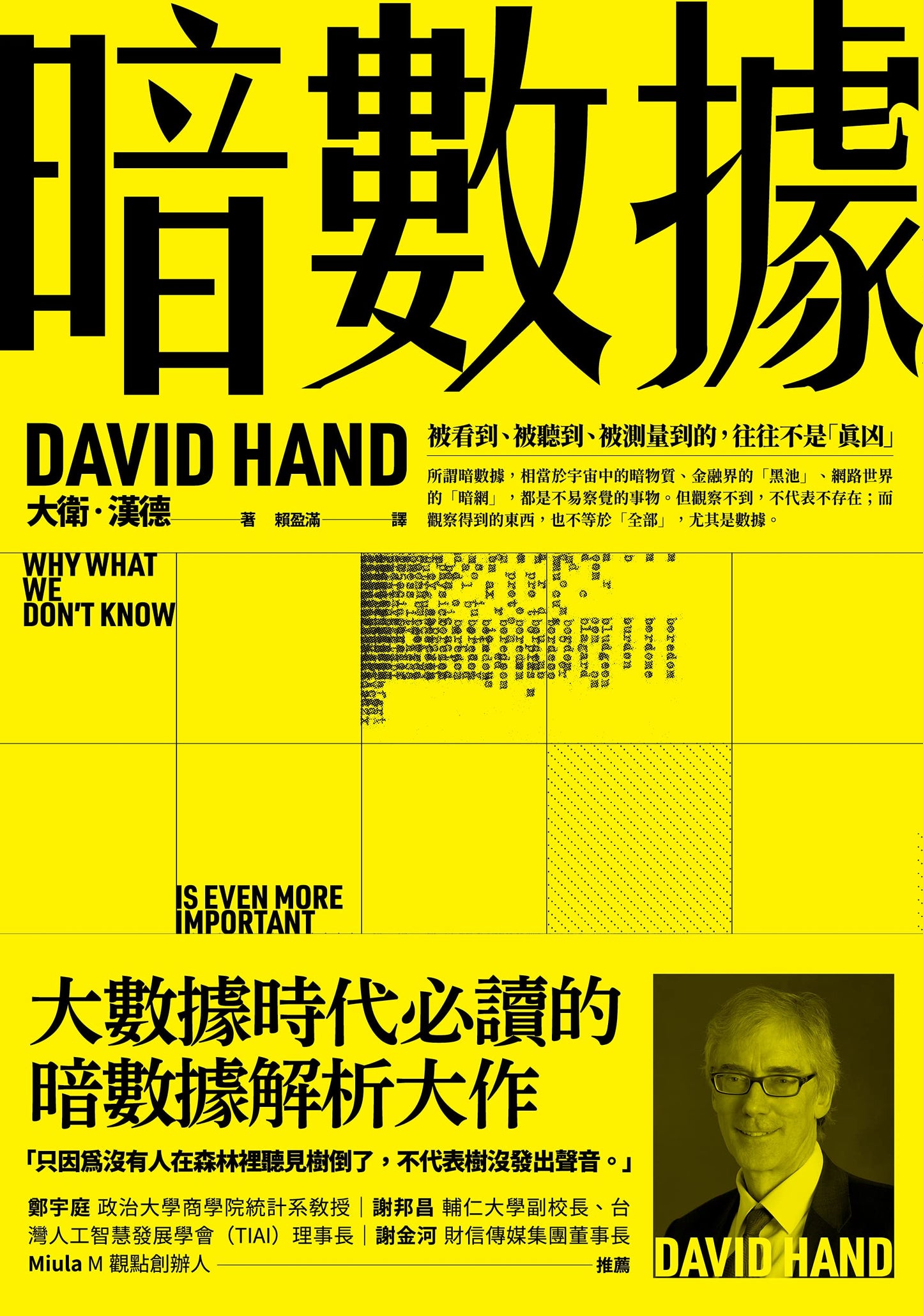 Book cover of 暗數據: 被看到、被聽到、被測量到的,往往不是「真凶」 Dark Data by David J. Hand, 賴盈滿 (Trans.)