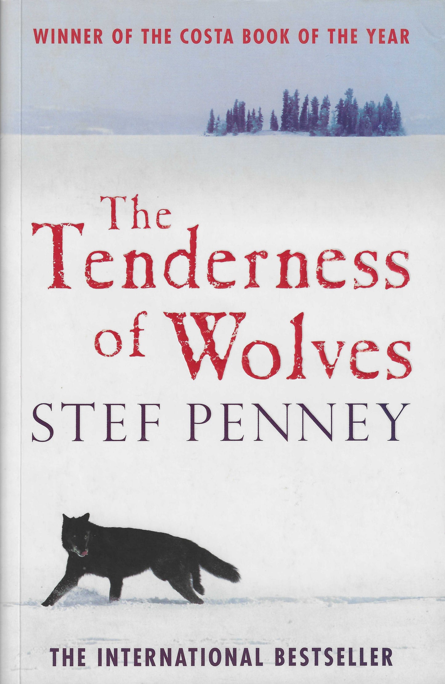 Book cover of The Tenderness Of Wolves by Stef Penney