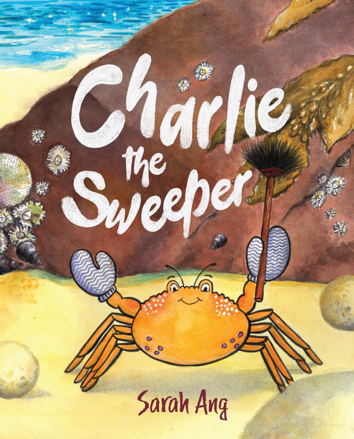 Book cover of Charlie the Sweeper by Sarah Ang