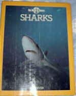 Book cover of Sharks by Lee Server
