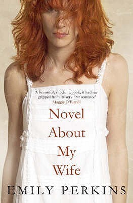 Book cover of Novel About My Wife by Emily Perkins