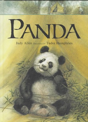 Book cover of Panda by Judy Allen