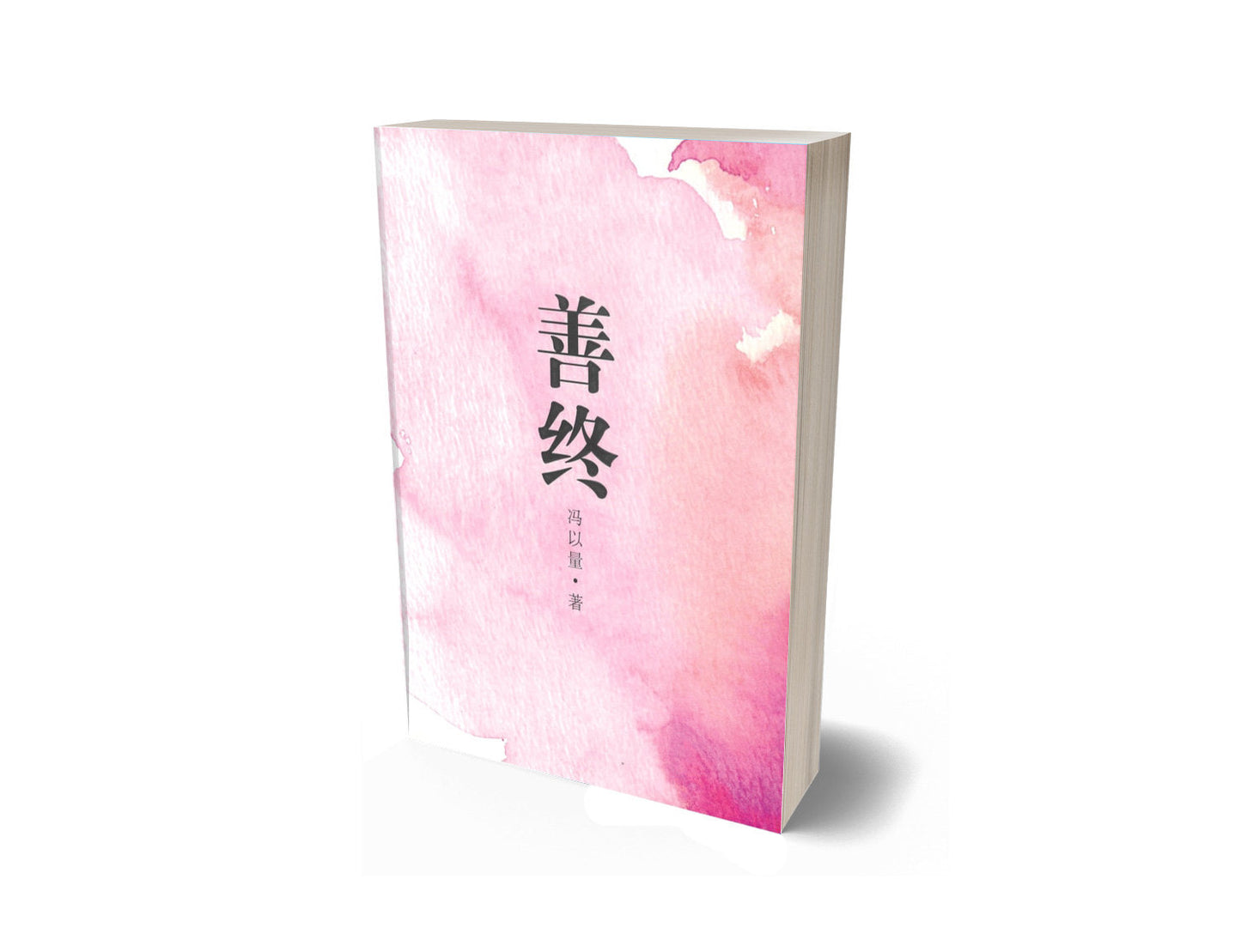 Book cover of 善终 by 冯以量