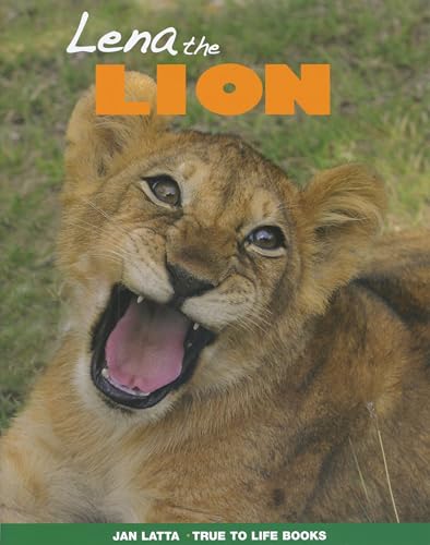 Book cover of Lena The Lion by Jan Latta