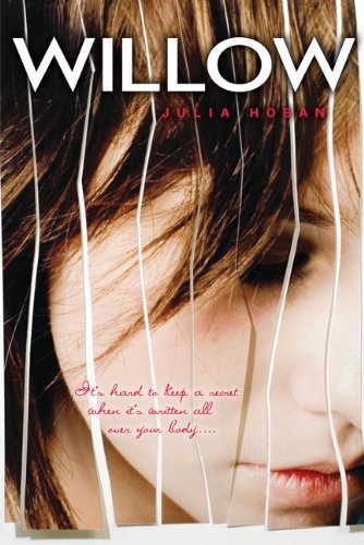 Book cover of Willow by Julia Hoban