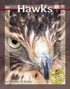 Book cover of Hawks by Kathleen W. Deady