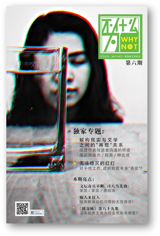 Book cover of Why Not 不為什麼 - Vol. 6 by 冼文光