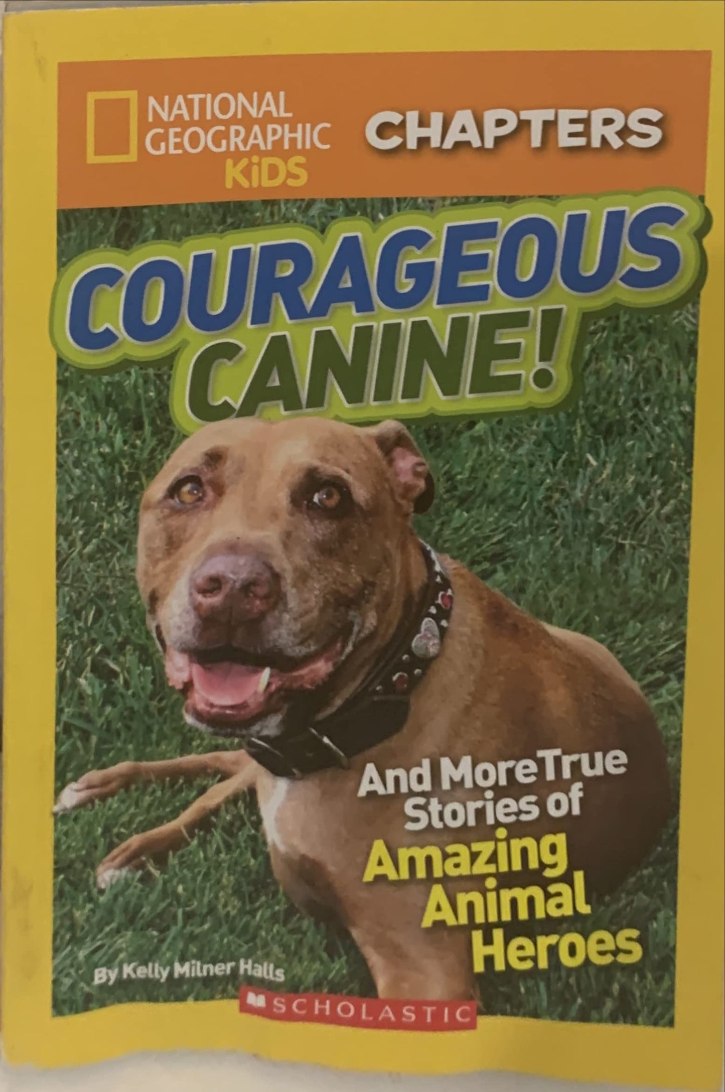 Book cover of National Geographic Kids Chapters: Courageous Canine! by Unknown Author