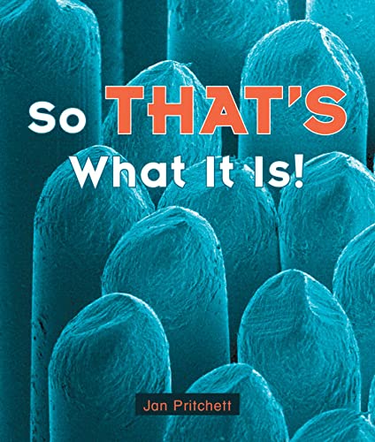 Book cover of Rigby Literacy Early Level 2 by Jan Pritchett