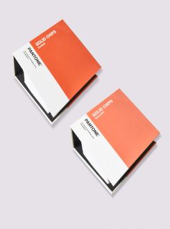Book cover of Pantone Solid Chips | Coated & Uncoated Shareable Pantone Color Chips for Graphics and Print