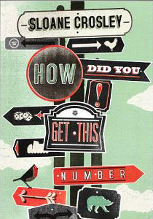 Book cover of How Did You Get This Number by Sloane Crosley