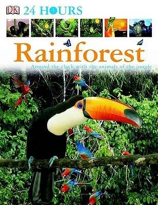 Book cover of Rainforest by Fleur Star