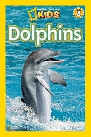 Book cover of Dolphins by Melissa Stewart