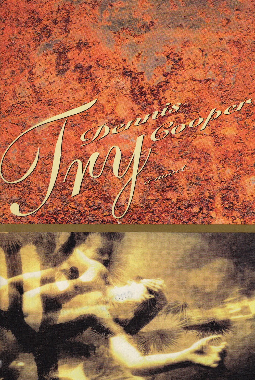Book cover of Try by Dennis Cooper