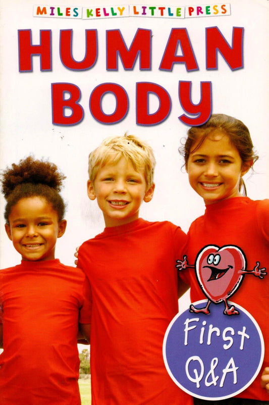 Book cover of Little QA Human Body by Belinda Gallagher