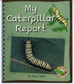 Book cover of My Caterpillar Report by Unknown Author