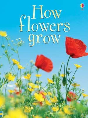 Book cover of How Flowers Grow (Usborne Beginners) by Emma Helbrough