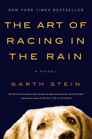 Book cover of The Art Of Racing In The Rain by Garth Stein