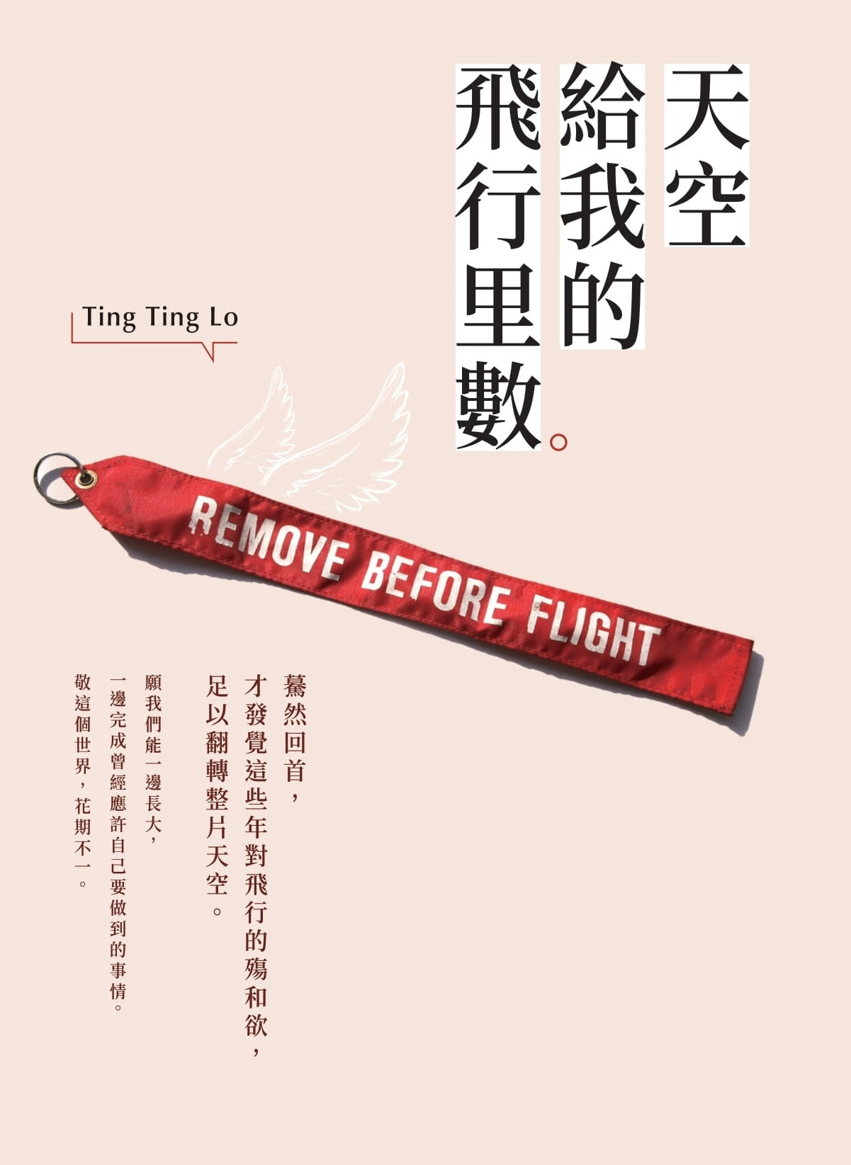 Book cover of 天空給我的飛行里數 by Ting Ting Lo