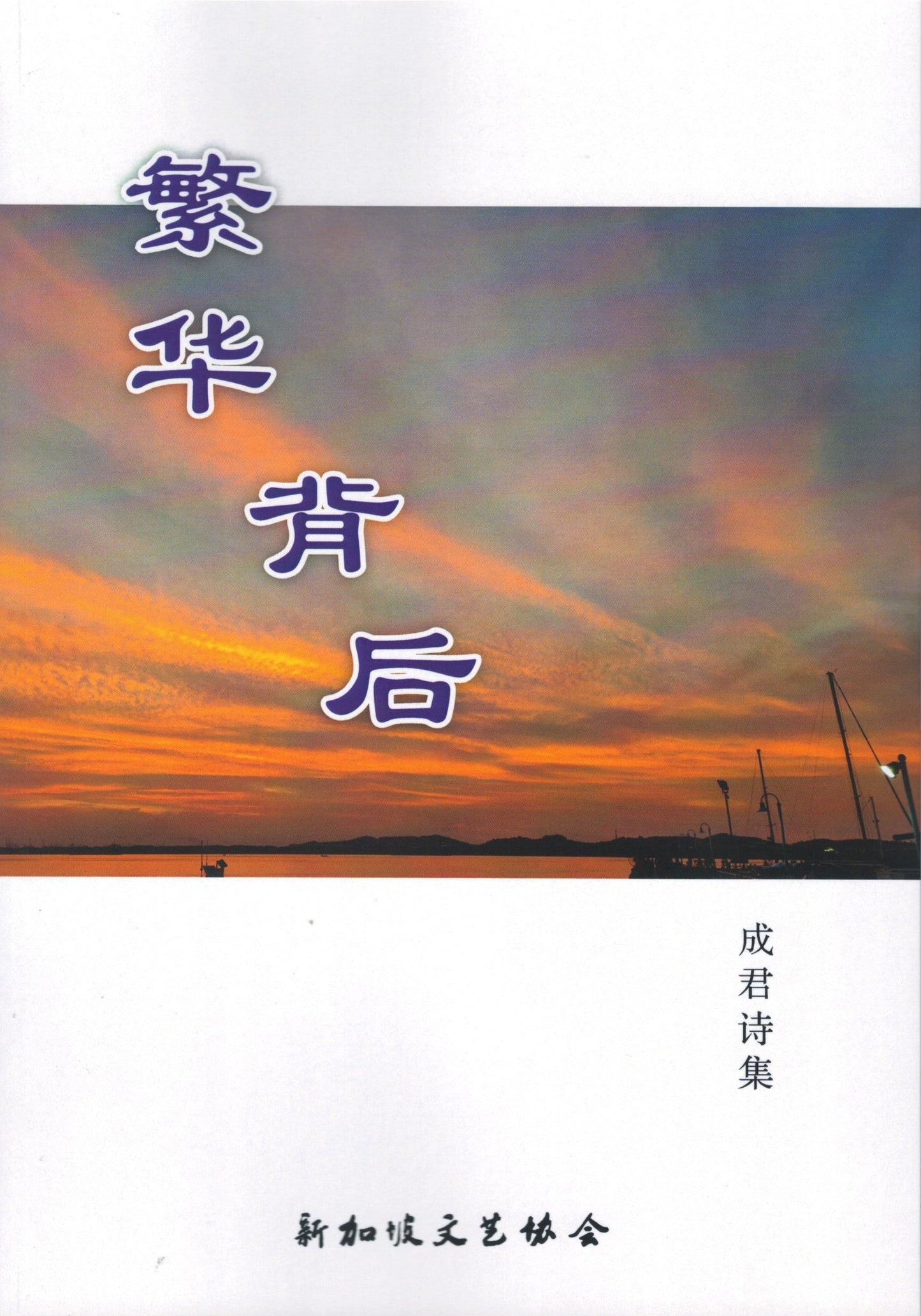 Book cover of 繁华背后 by 成君