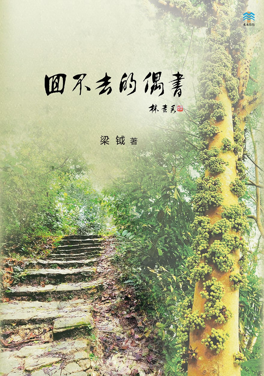 Book cover of 回不去的偶书 by 梁钺