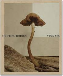 Book cover of Fruiting Bodies