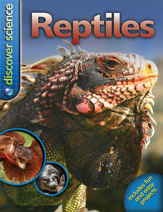 Book cover of Reptiles by Belinda Weber