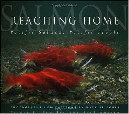 Book cover of Reaching Home: Pacific Salmon, Pacific People by Natalie Fobes, Tom Jay