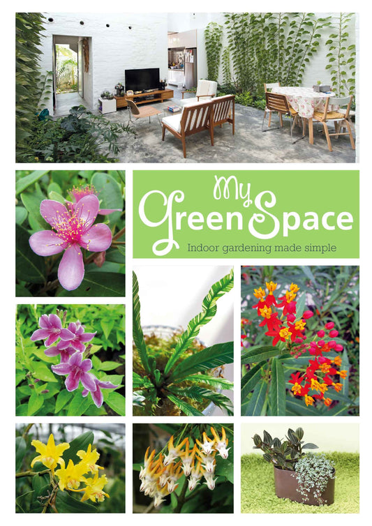 Book cover of My Green Space-Indoor Gardening Made Simple by National Parks Board