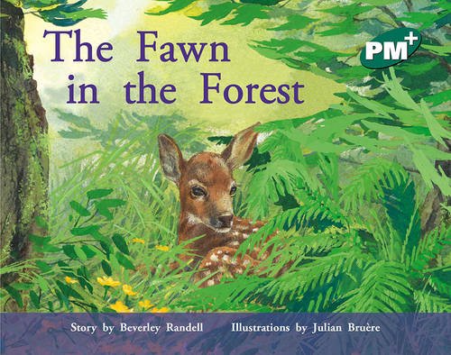 Book cover of Green - Story Books Level 14 by Annette Smith
