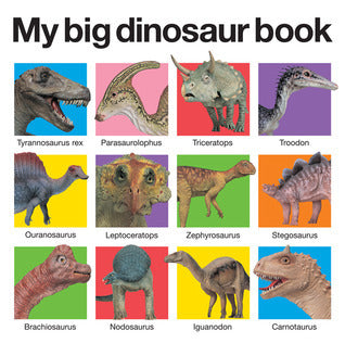 Book cover of My Big Dinosaur Book by Roger Priddy