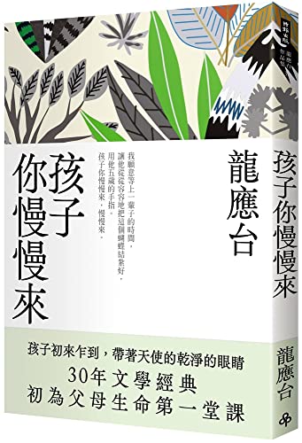 Book cover of Take Your Time Child by LONG YING TAI