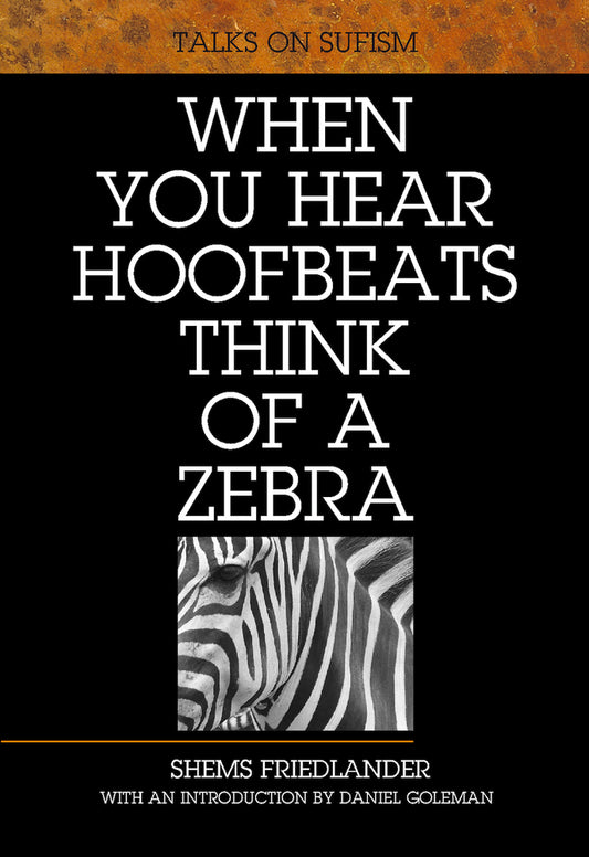 Book cover of When You Hear Hoofbeats Think Of A Zebra by Shems Friedlander