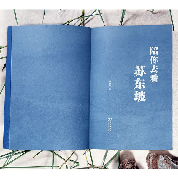 Book cover of I'll Accompany You To See Su Dongpo by YI RUO FEN